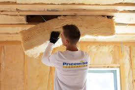 Best Commercial Insulation Services  in The Hills, TX